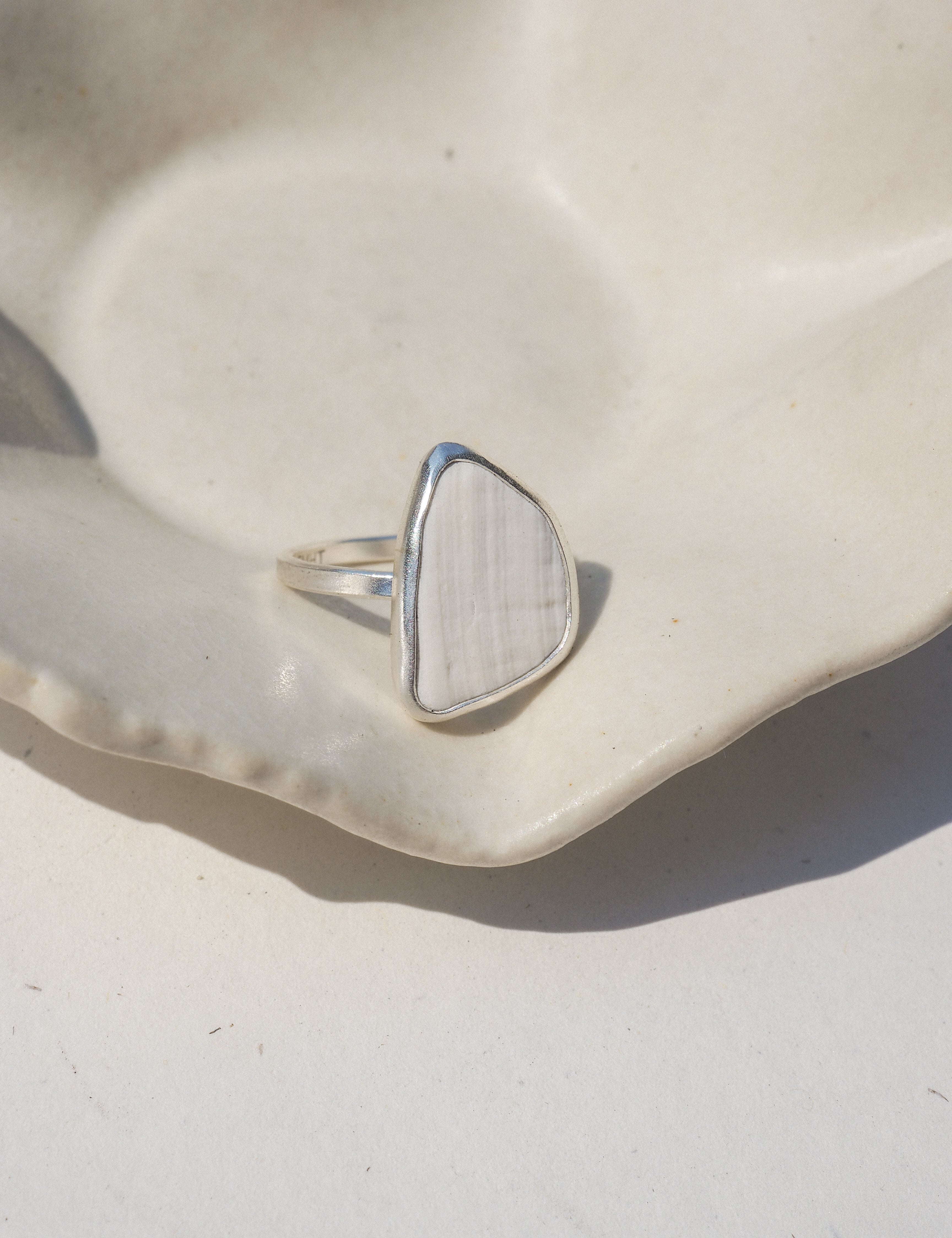 shell chip ring
