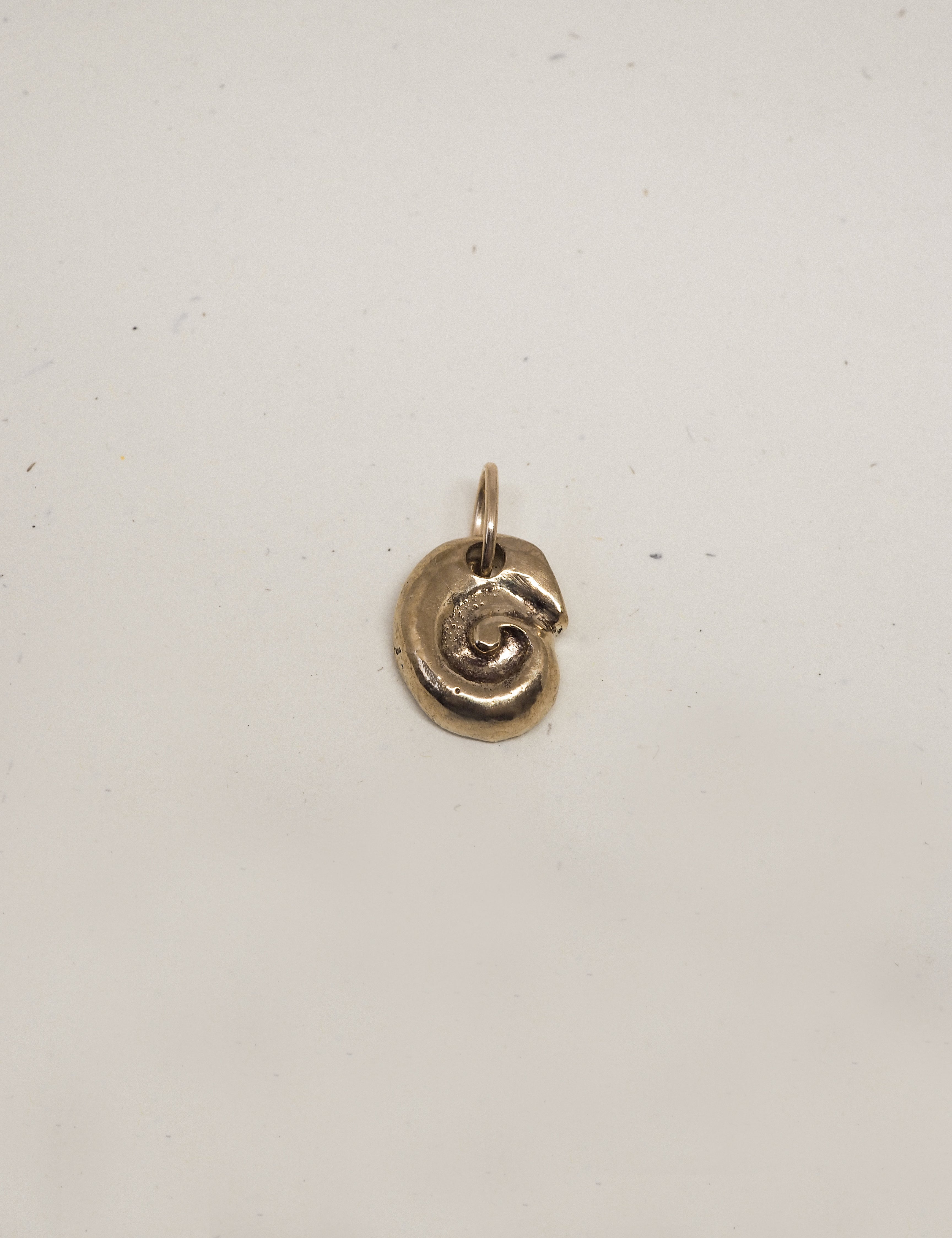 petite ammonite charm
