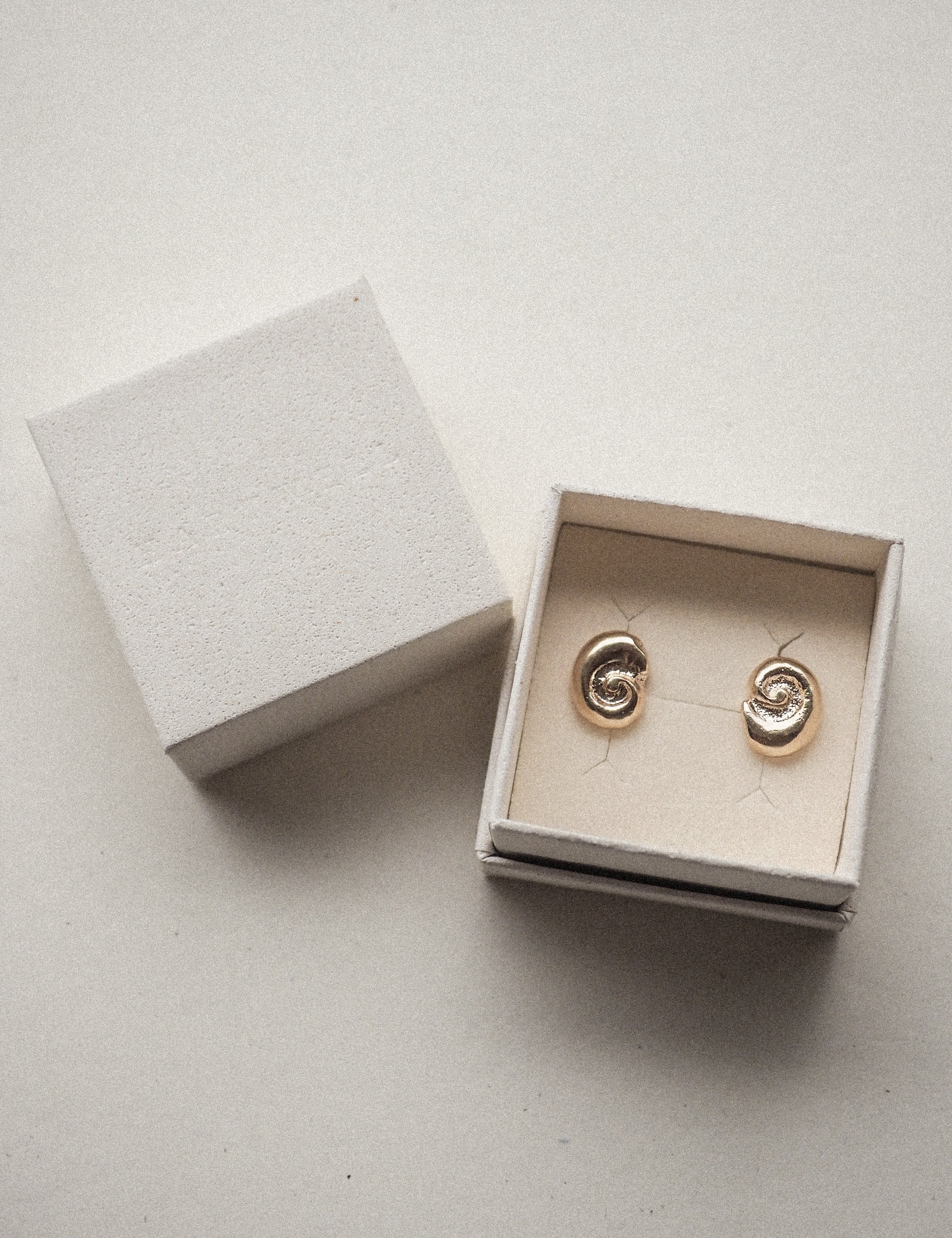petite ammonite studs