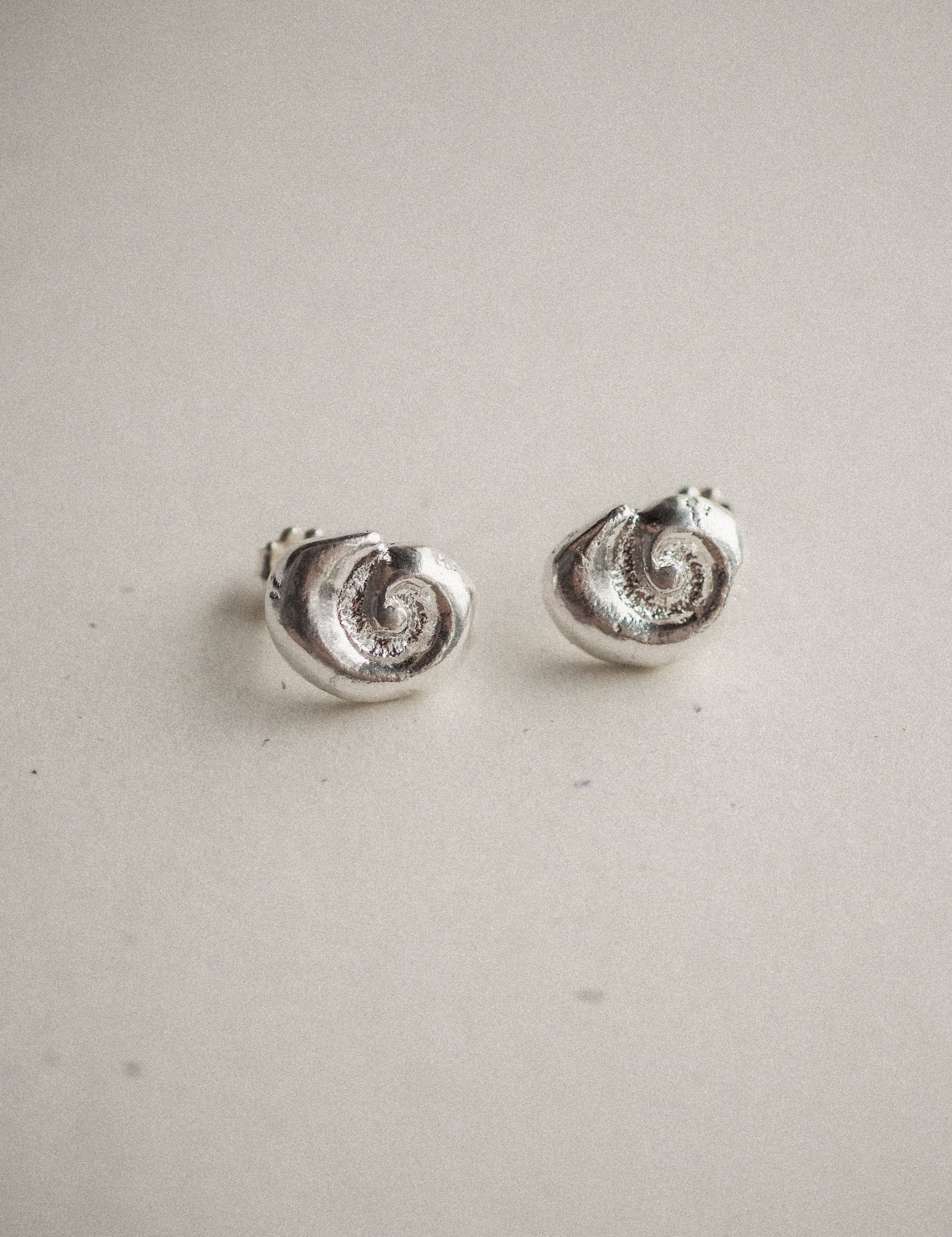 petite ammonite studs