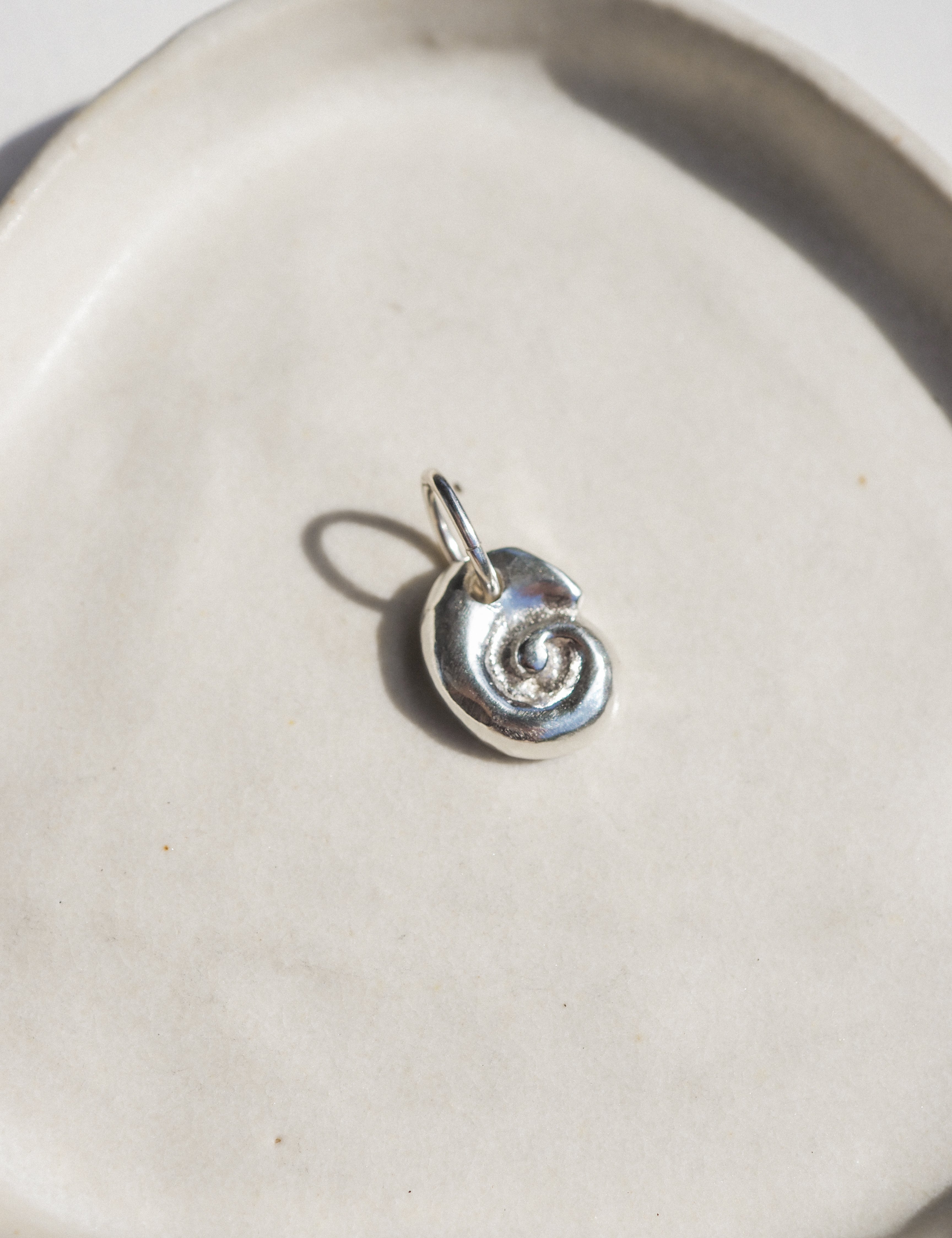 petite ammonite charm