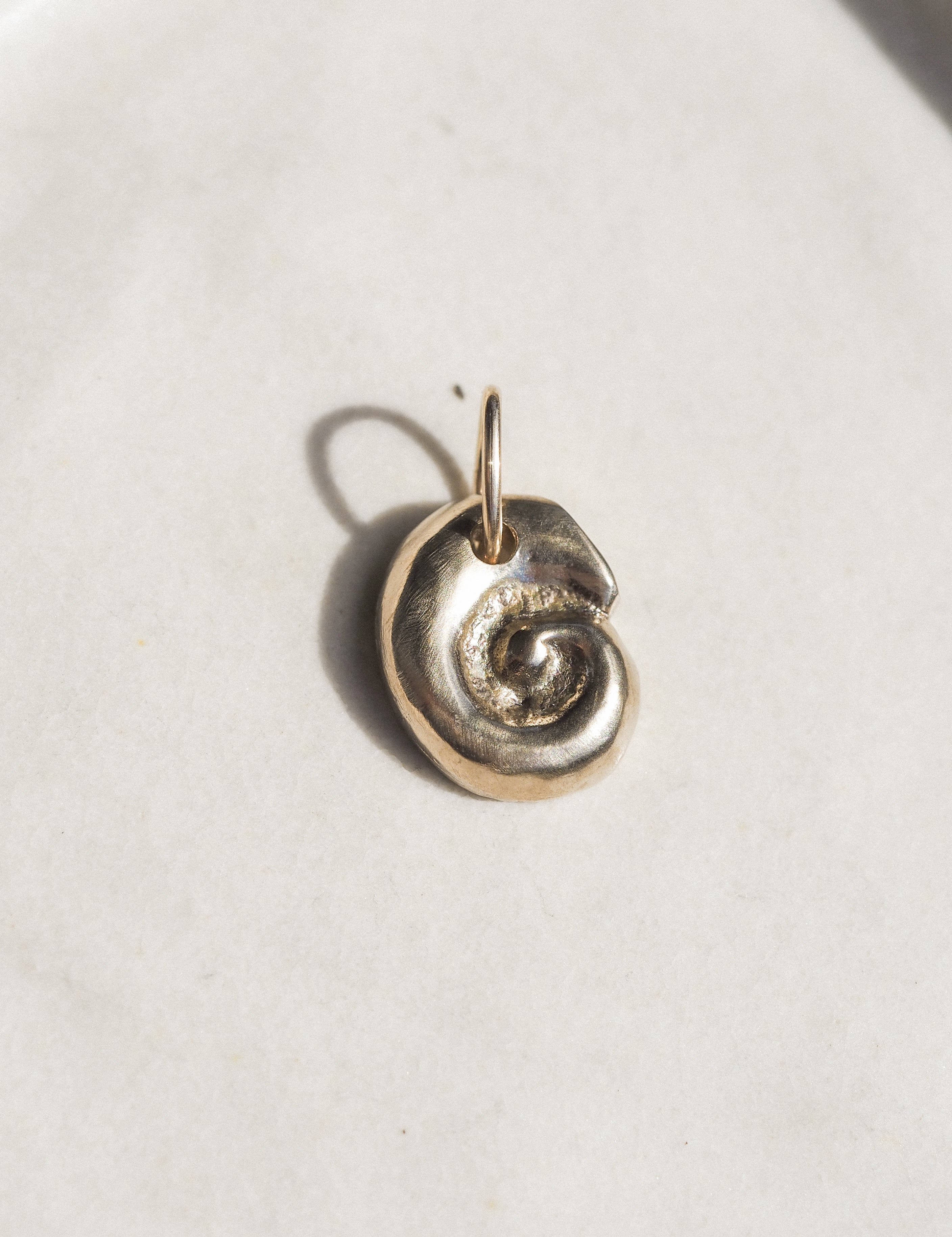 petite ammonite charm