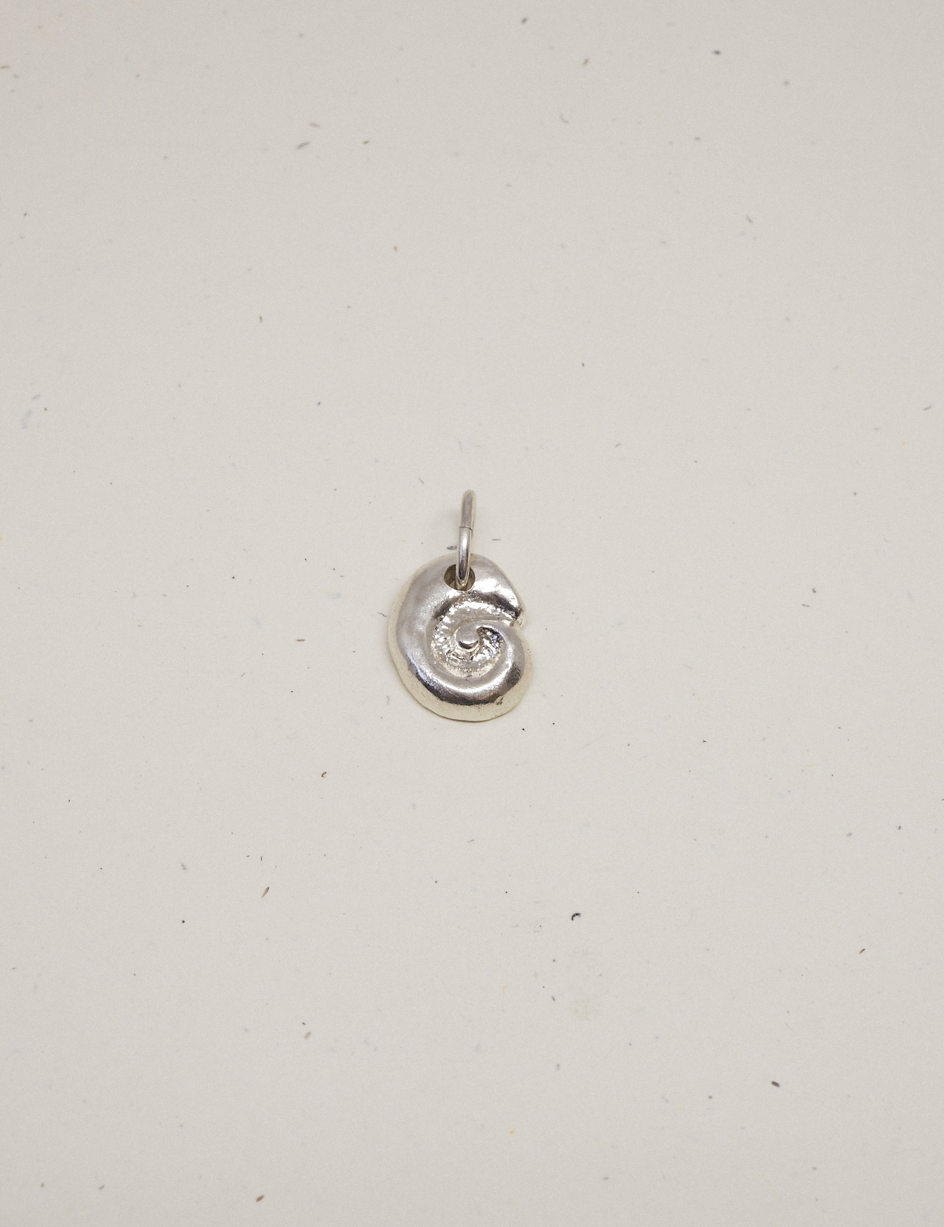 petite ammonite charm